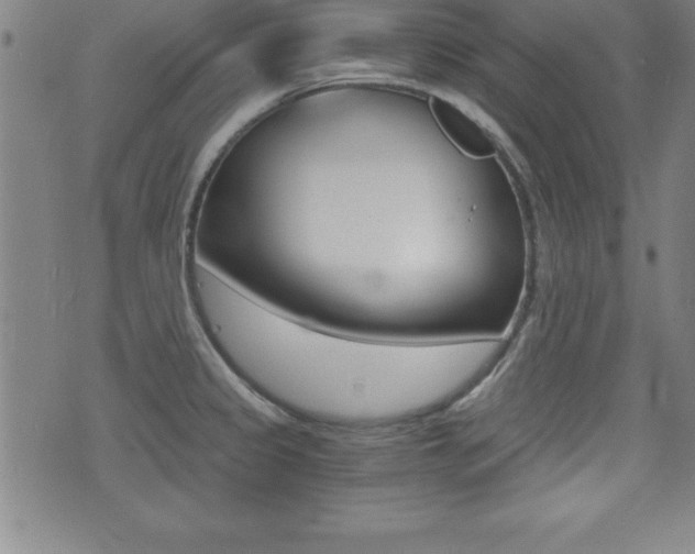 X0000073451333200607280957