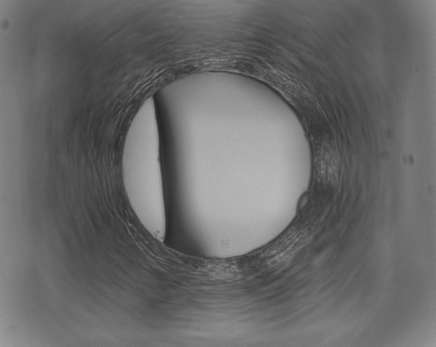 X0000073451346200607280956