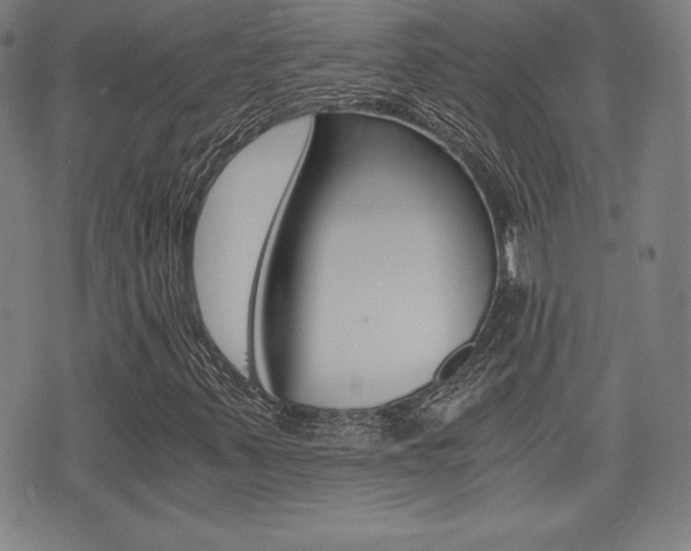 X0000073451347200607280956