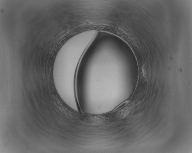X0000073451348200607280956