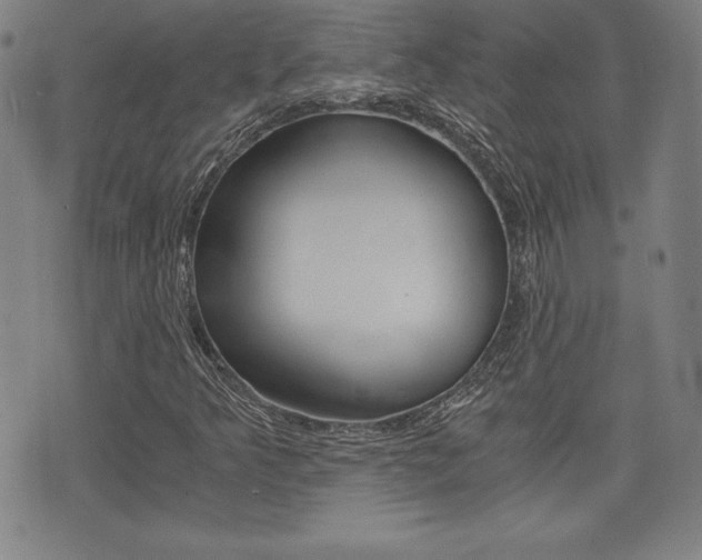 X0000073451349200607280956