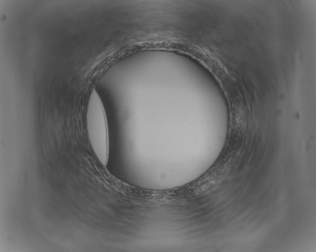 X0000073451350200607280956