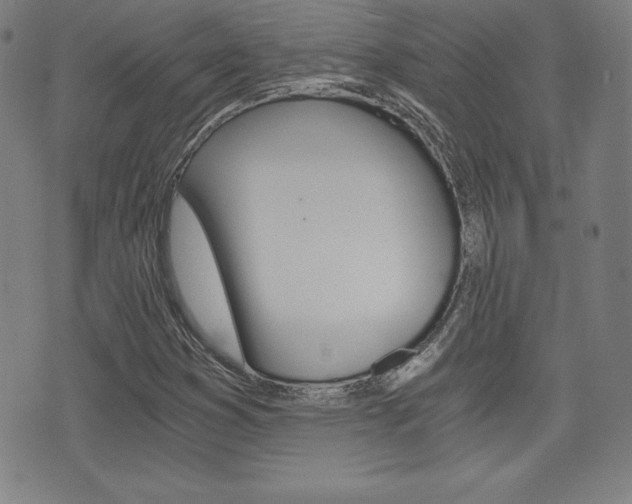 X0000073451353200607280956