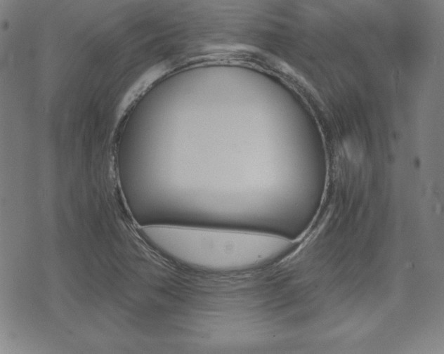 X0000073451362200607280956