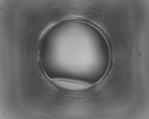 X0000073451363200607280956