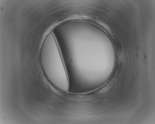 X0000073451371200607280956