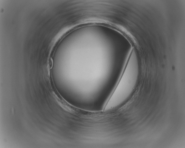 X0000073451372200607280956