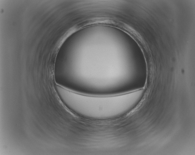 X0000073451377200607280955