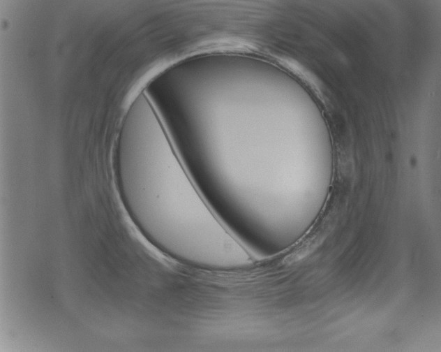X0000073451383200607280955