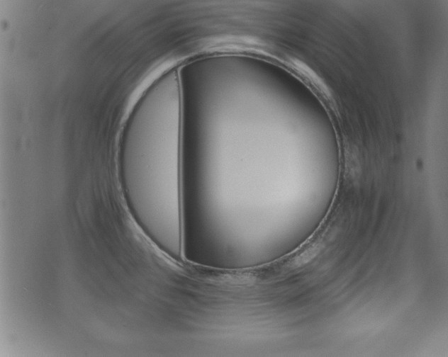 X0000073451384200607280955