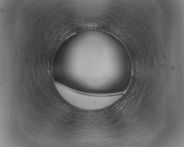 X0000073451394200607280954