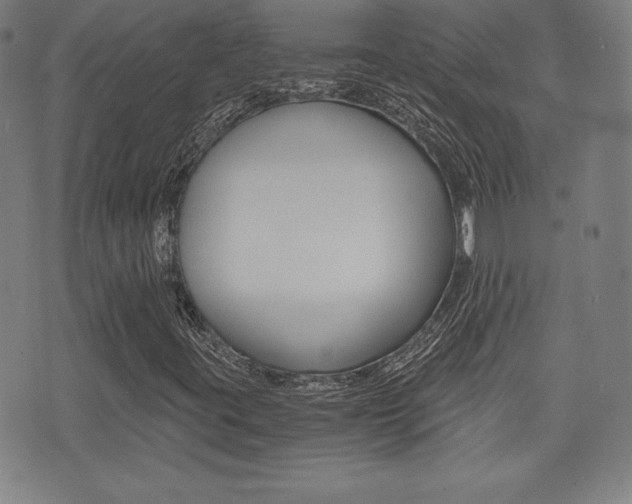 X0000073451395200607280954