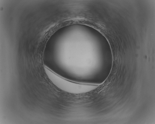 X0000073451398200607280955