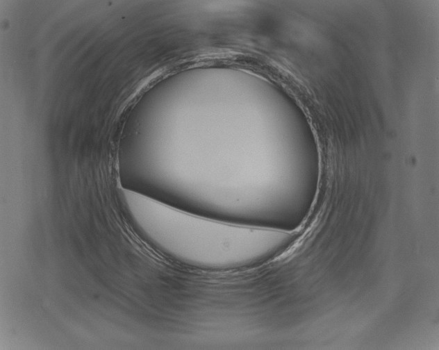 X0000073451401200607280955
