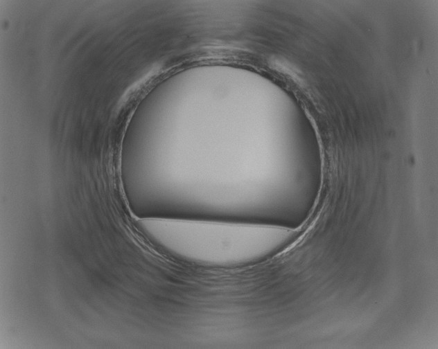 X0000073451403200607280955