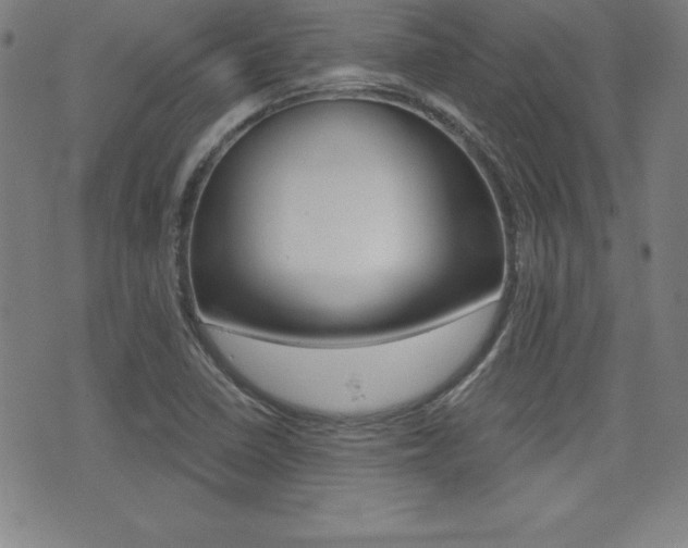 X0000073451410200607280955