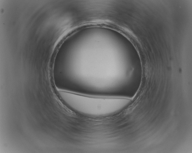 X0000073451412200607280955