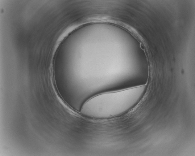 X0000073451432200607280955