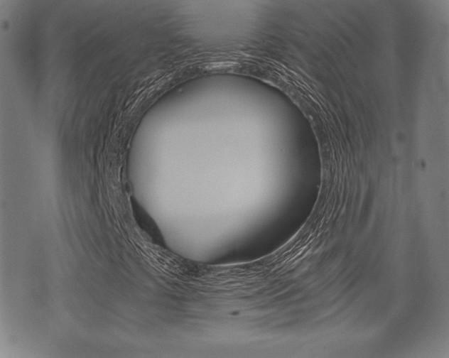 X0000073451441200607280954