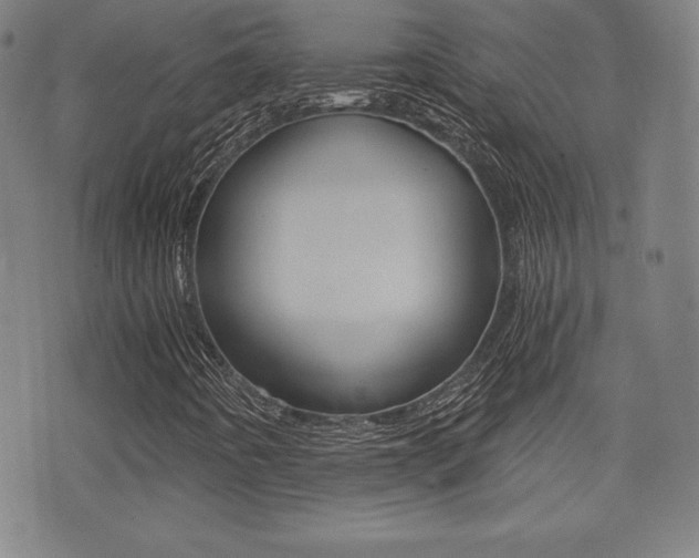 X0000073451442200607280954