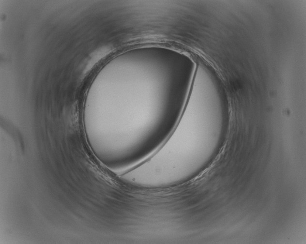 X0000073451450200607280954