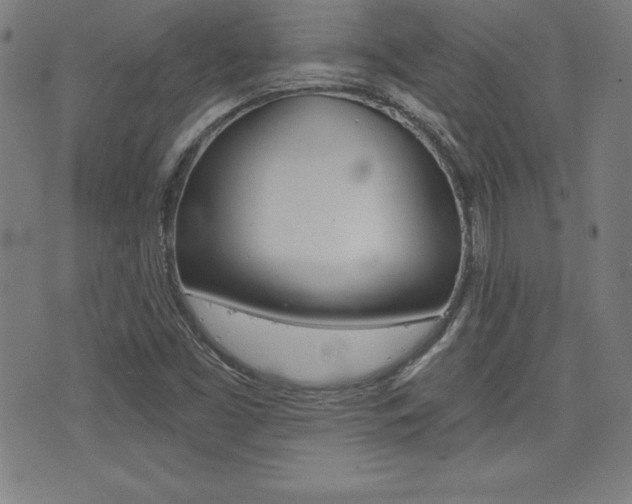 X0000073451453200607280954