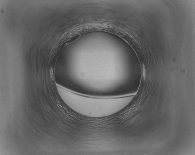 X0000073451492200607280953