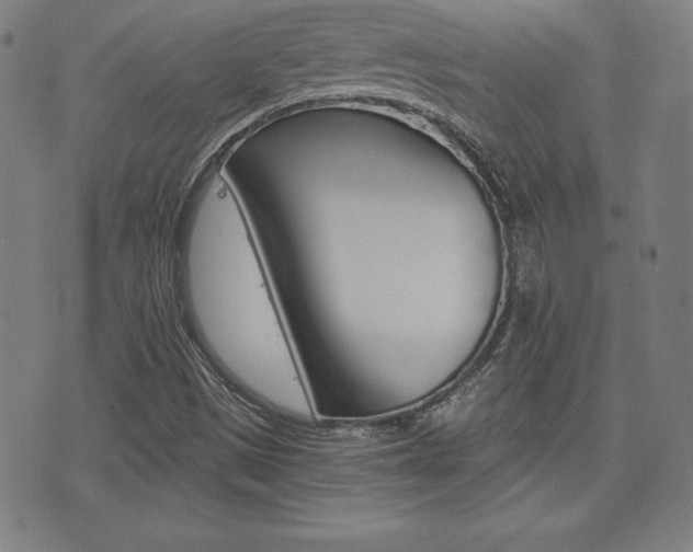 X0000073451497200607280953