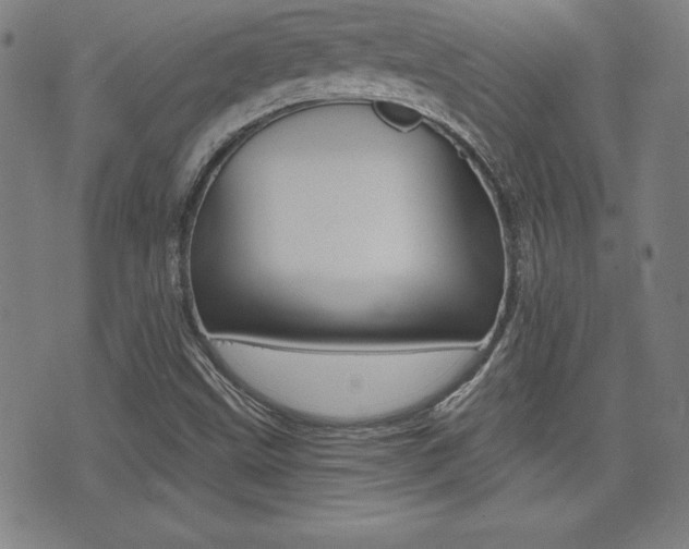 X0000073451499200607280953