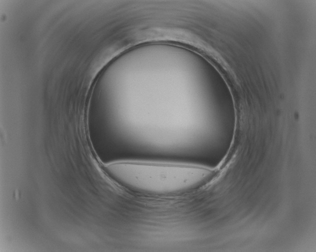 X0000073451513200607280953
