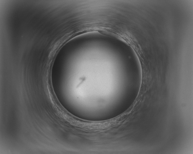 X0000073450001200607281233