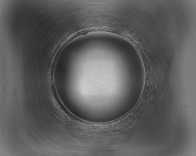 X0000073450002200607281233