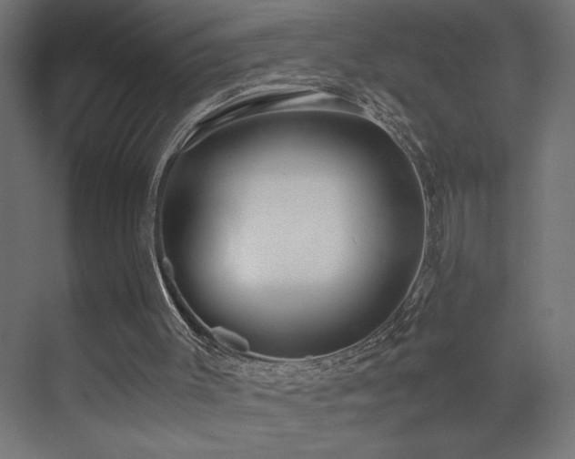 X0000073450003200607281233