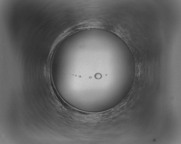 X0000073450004200607281233