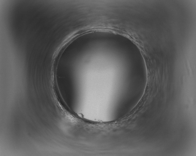 X0000073450005200607281233