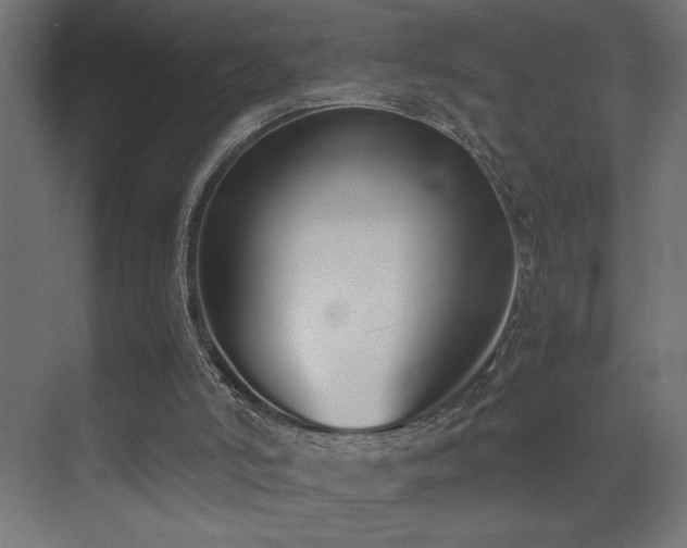 X0000073450006200607281233