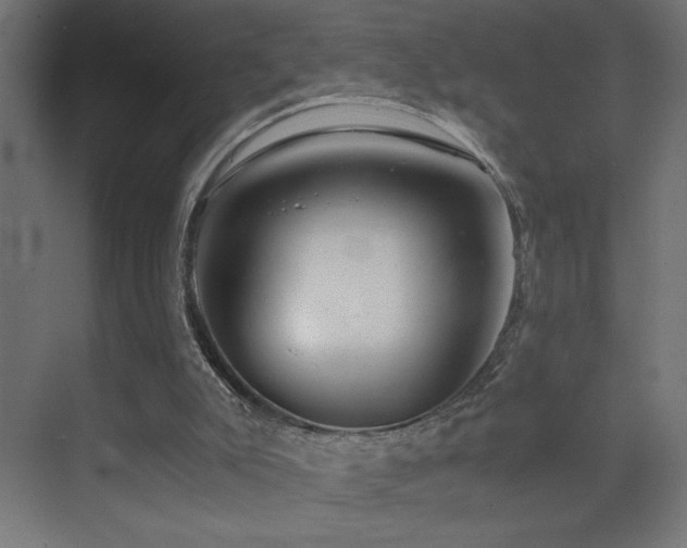 X0000073450007200607281233