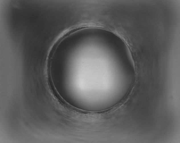 X0000073450008200607281233