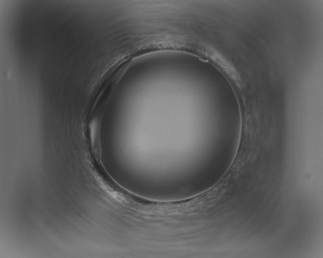 X0000073450009200607281233