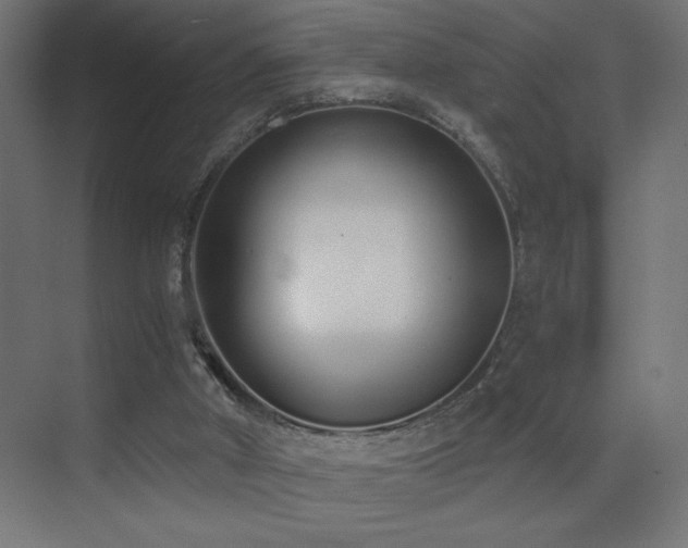 X0000073450010200607281233