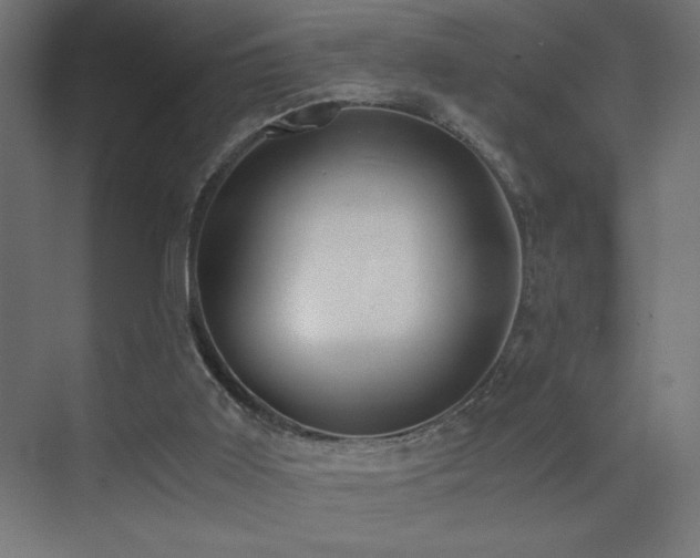 X0000073450011200607281233