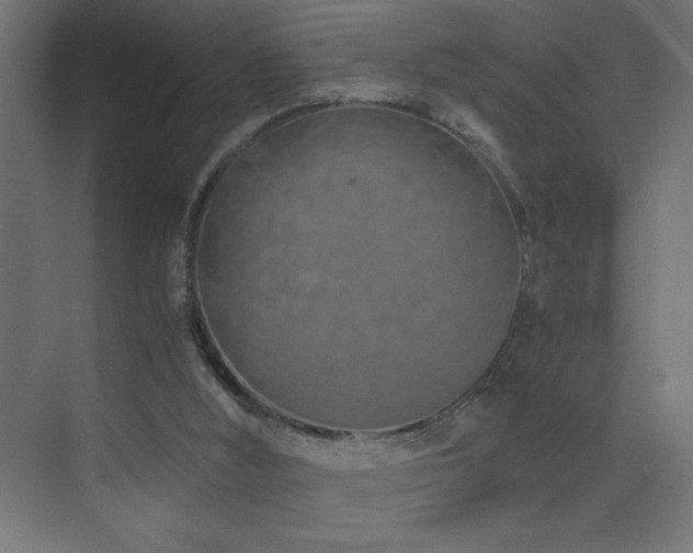 X0000073450012200607281233