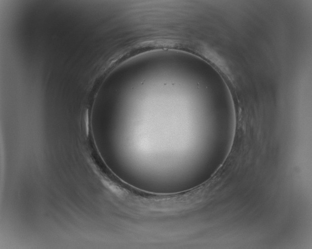 X0000073450013200607281233