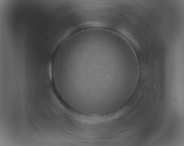 X0000073450014200607281233