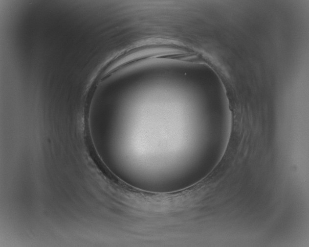 X0000073450015200607281233