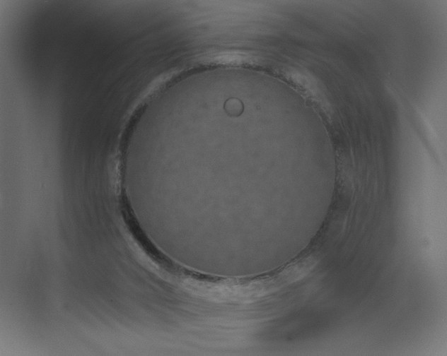 X0000073450016200607281233