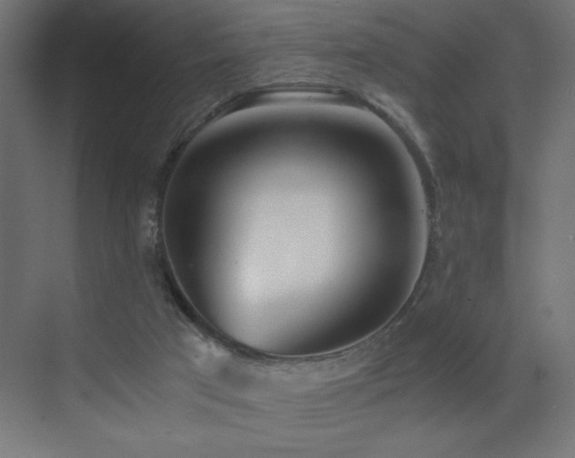 X0000073450017200607281233