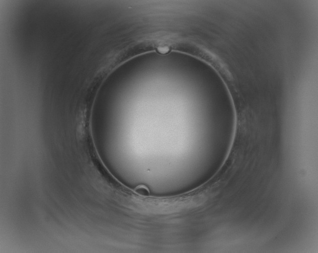 X0000073450018200607281233