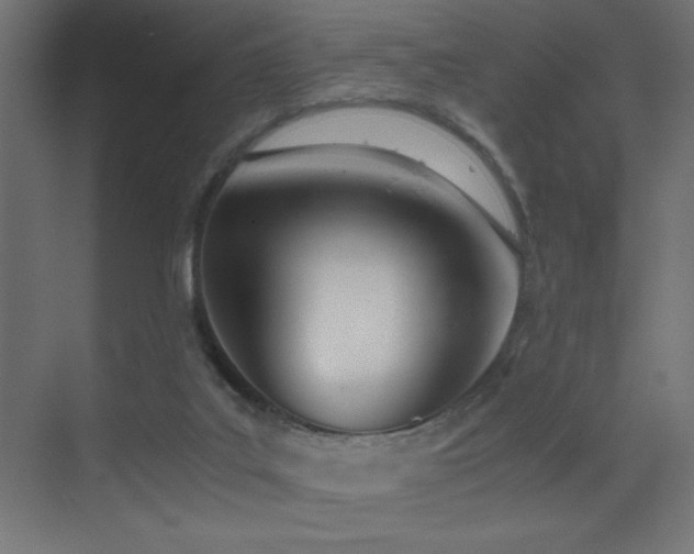 X0000073450019200607281233