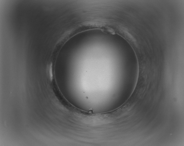 X0000073450020200607281233